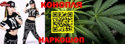 дурь Камышлов