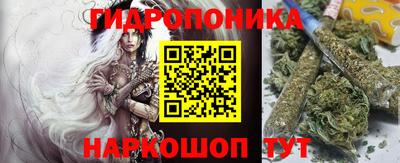 дурь Камышлов