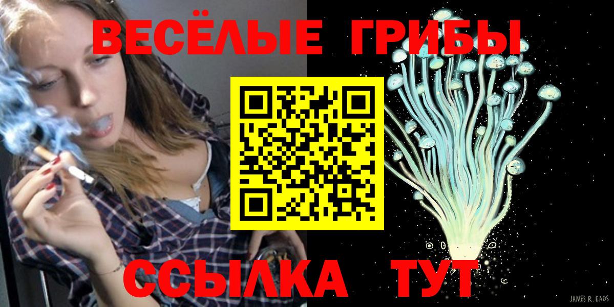 Галлюциногенные грибы ЛСД  Вход с VPN  цена   Кудрово 